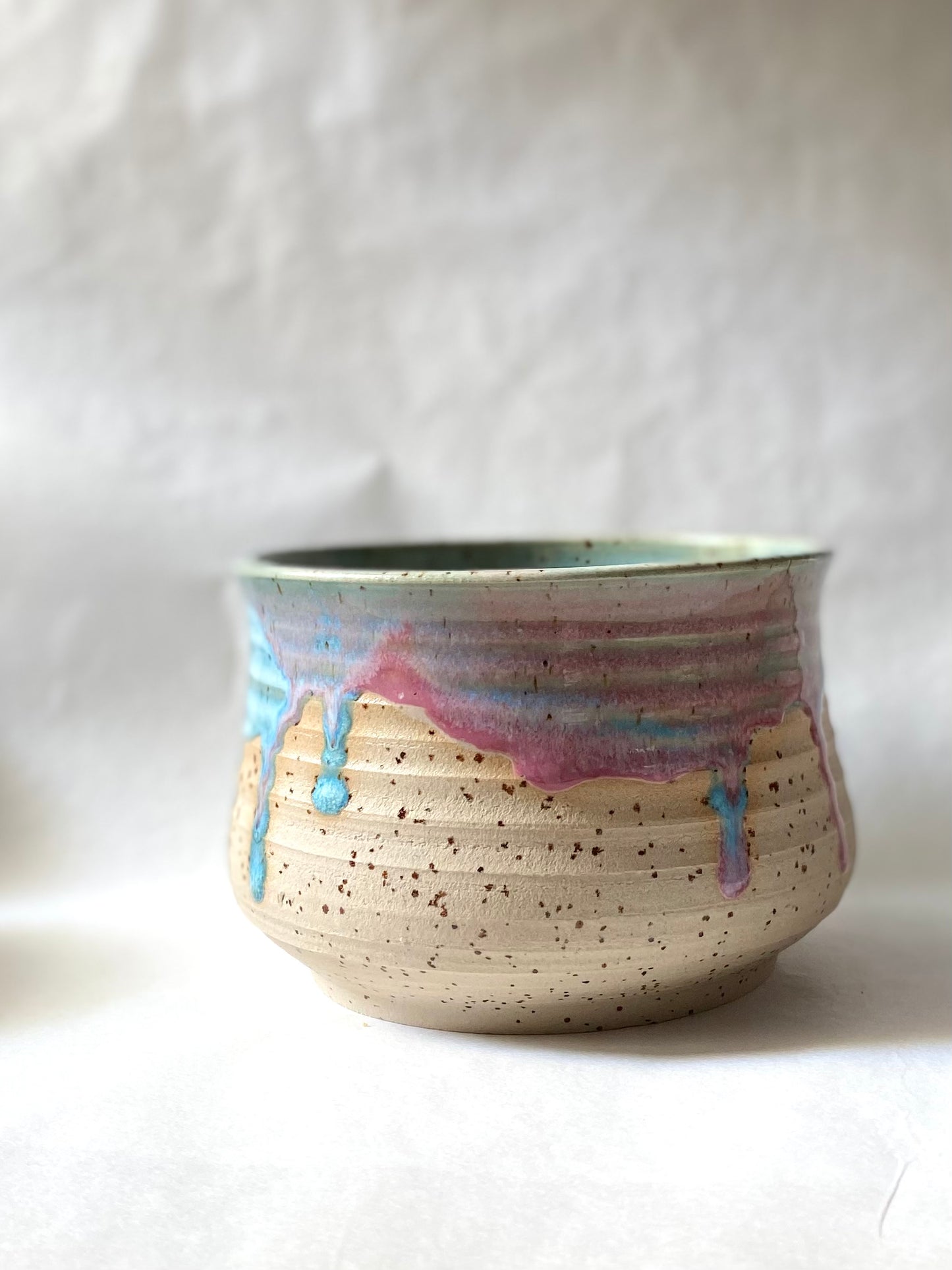 Blueberry Pinky Planter