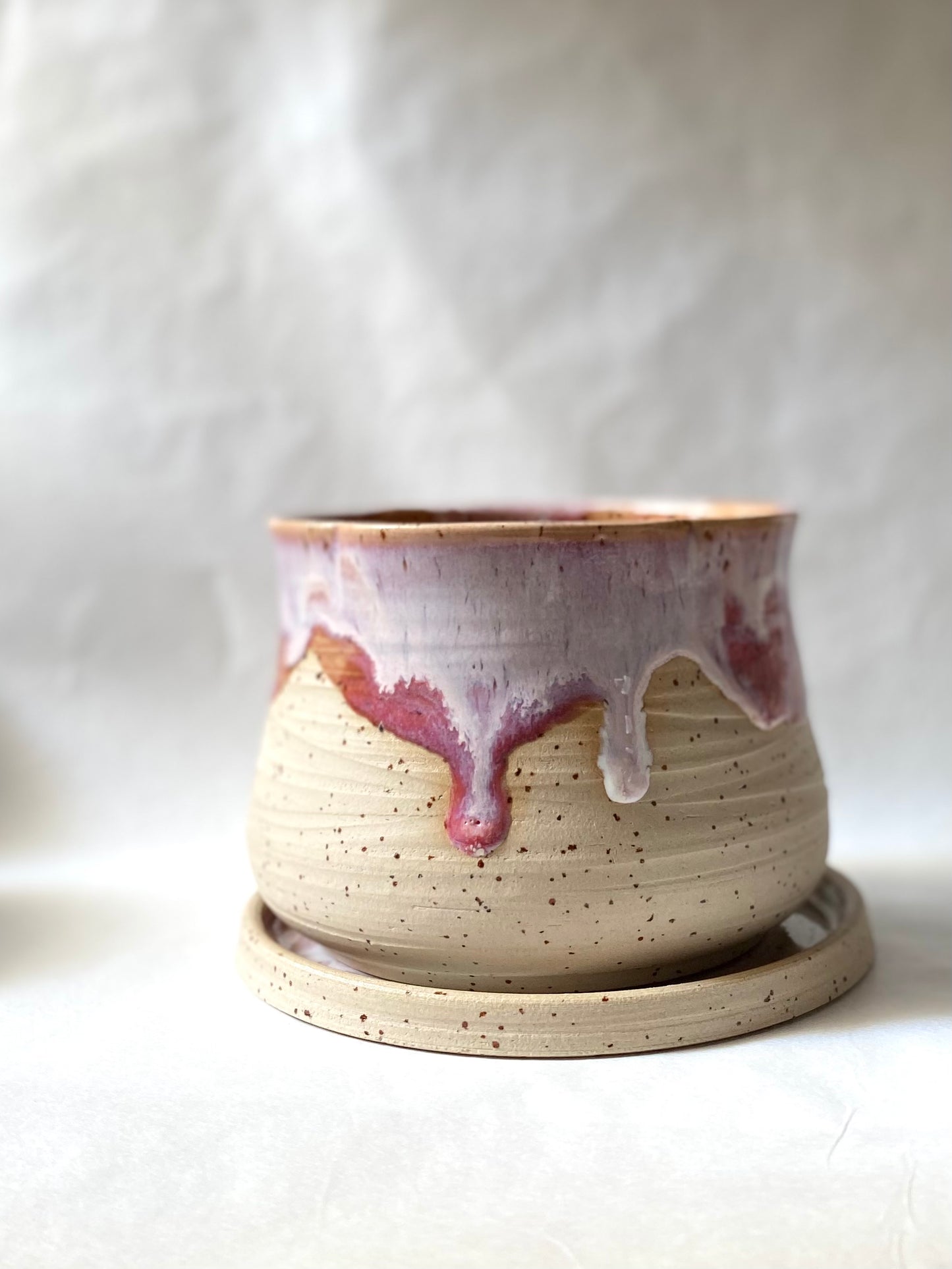 Orange Sorbet Planter