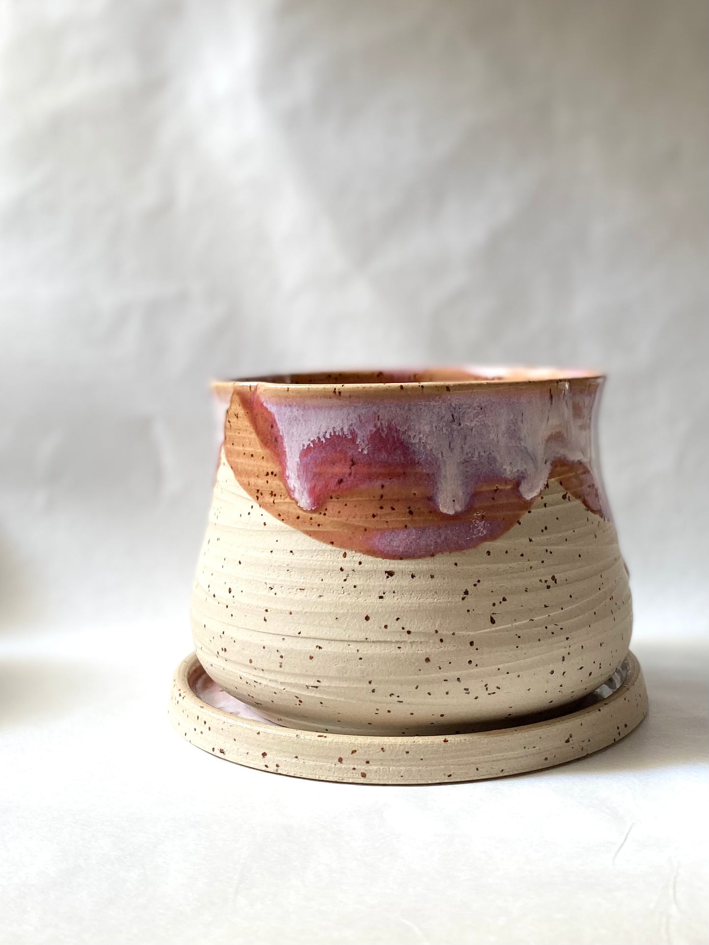 Orange Sorbet Planter