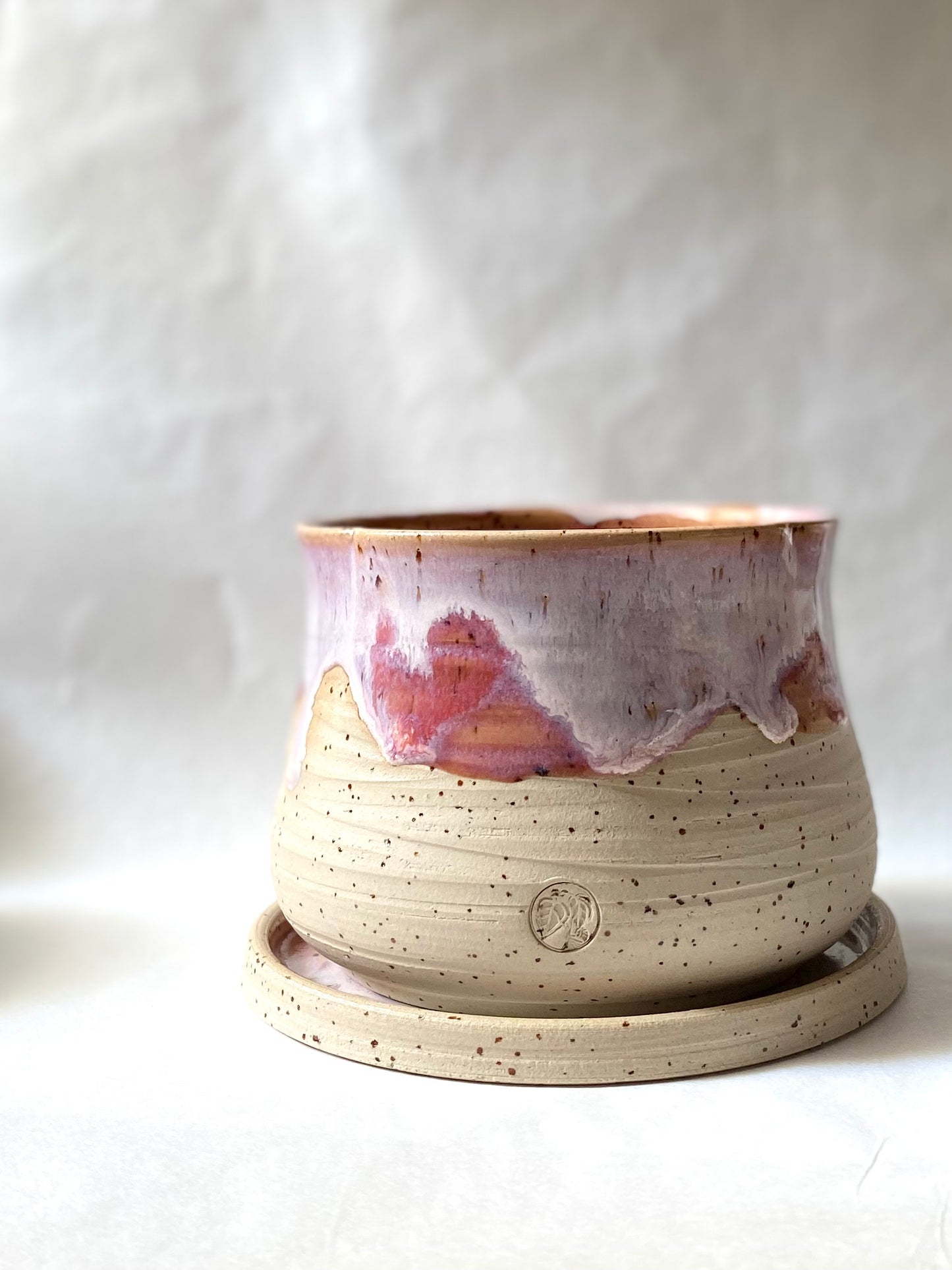 Orange Sorbet Planter