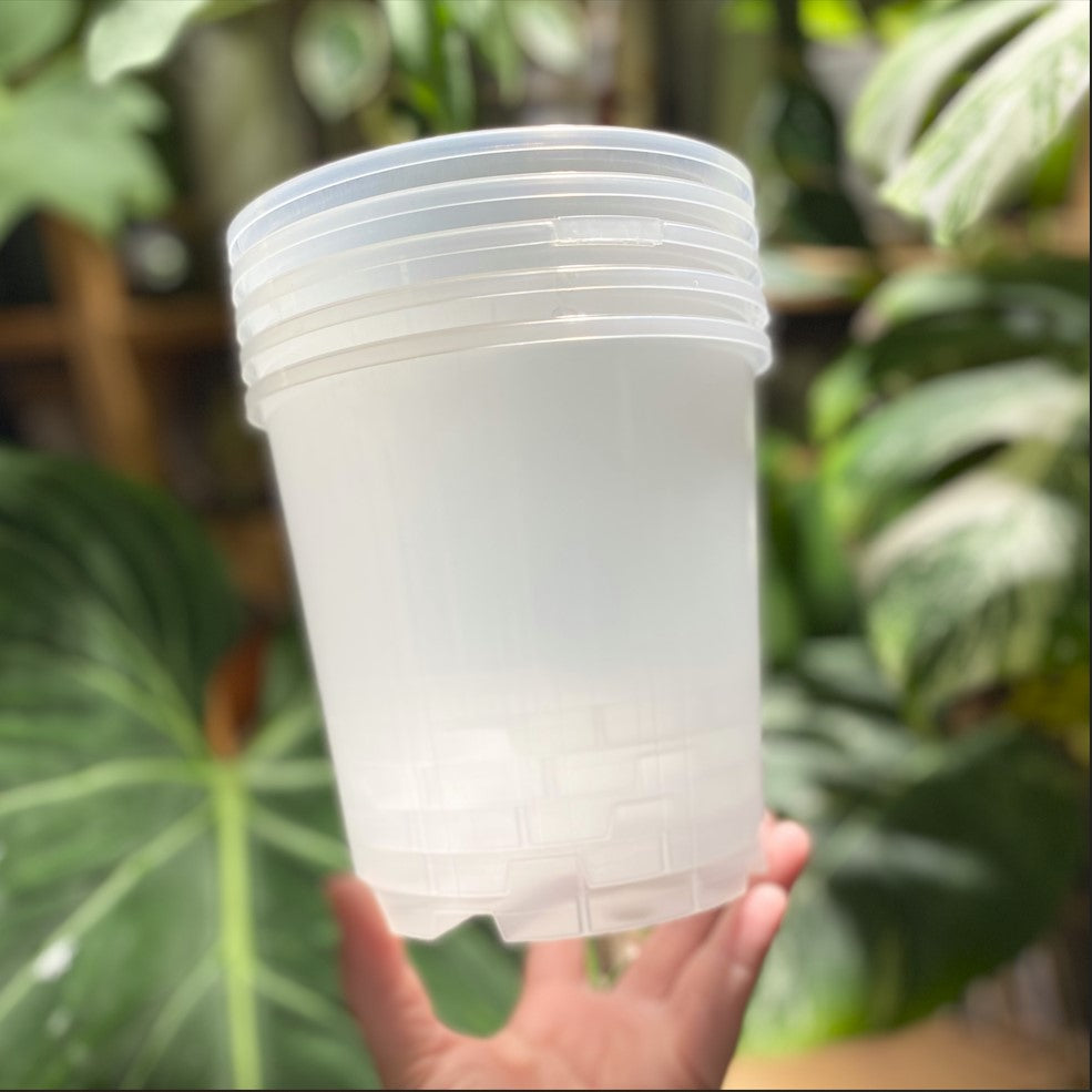 12cm Translucent nursery pots