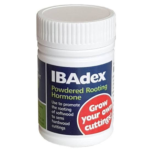 Egmont IBADEX Rooting Hormone Powder - 25g