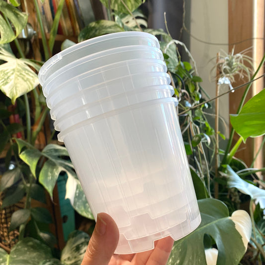 10cm Translucent nursery pots