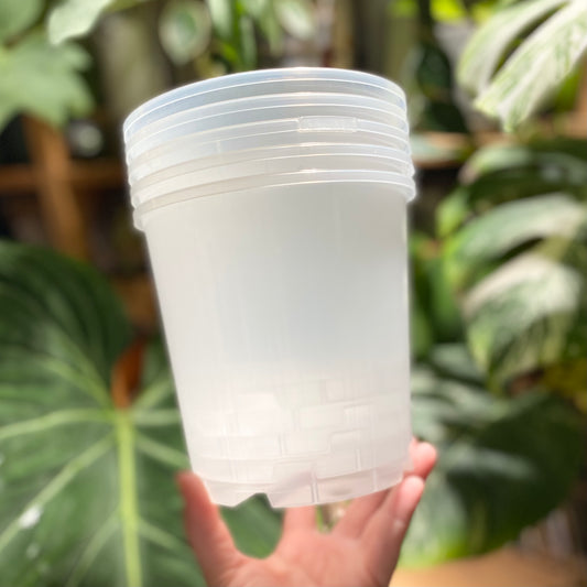 15cm Translucent nursery pots