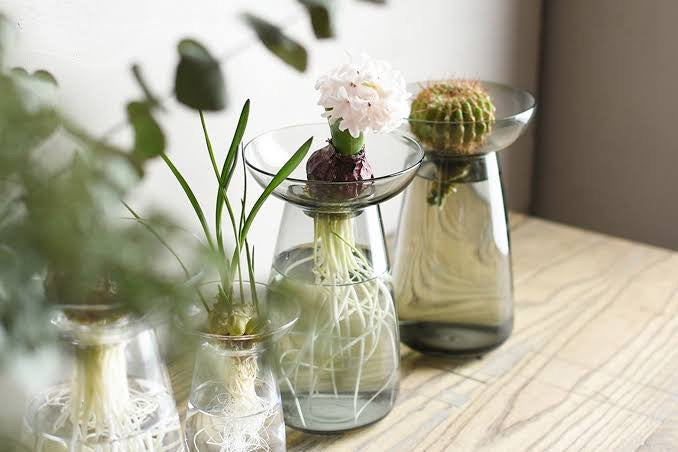 Small Aqua culture vase