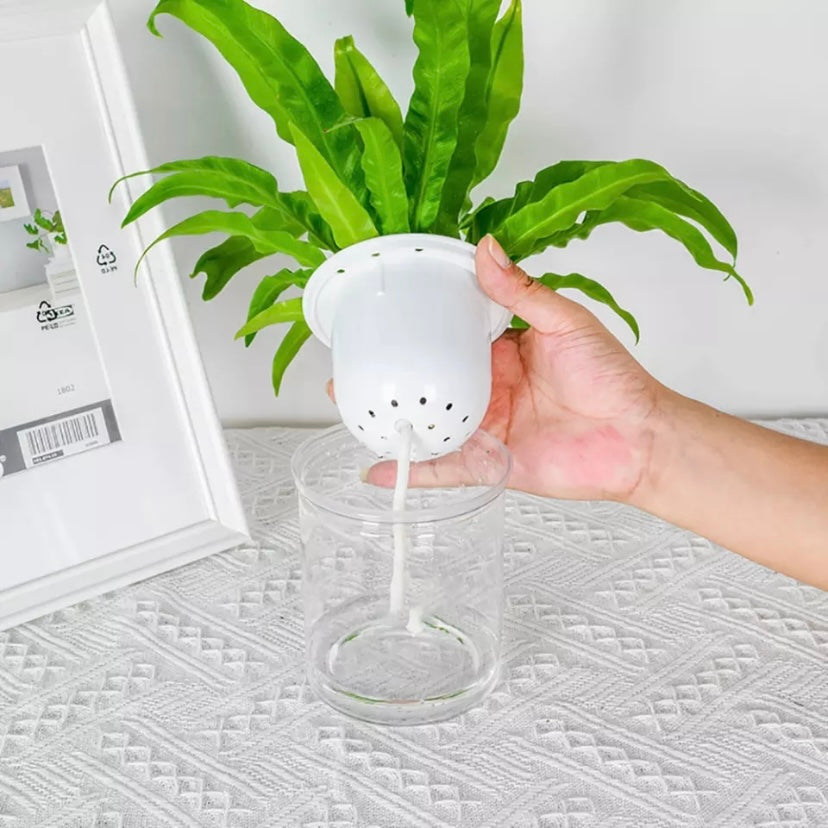 Self watering pot