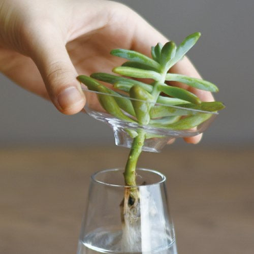 Small Aqua culture vase