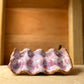 Sorbet Egg tray // Small