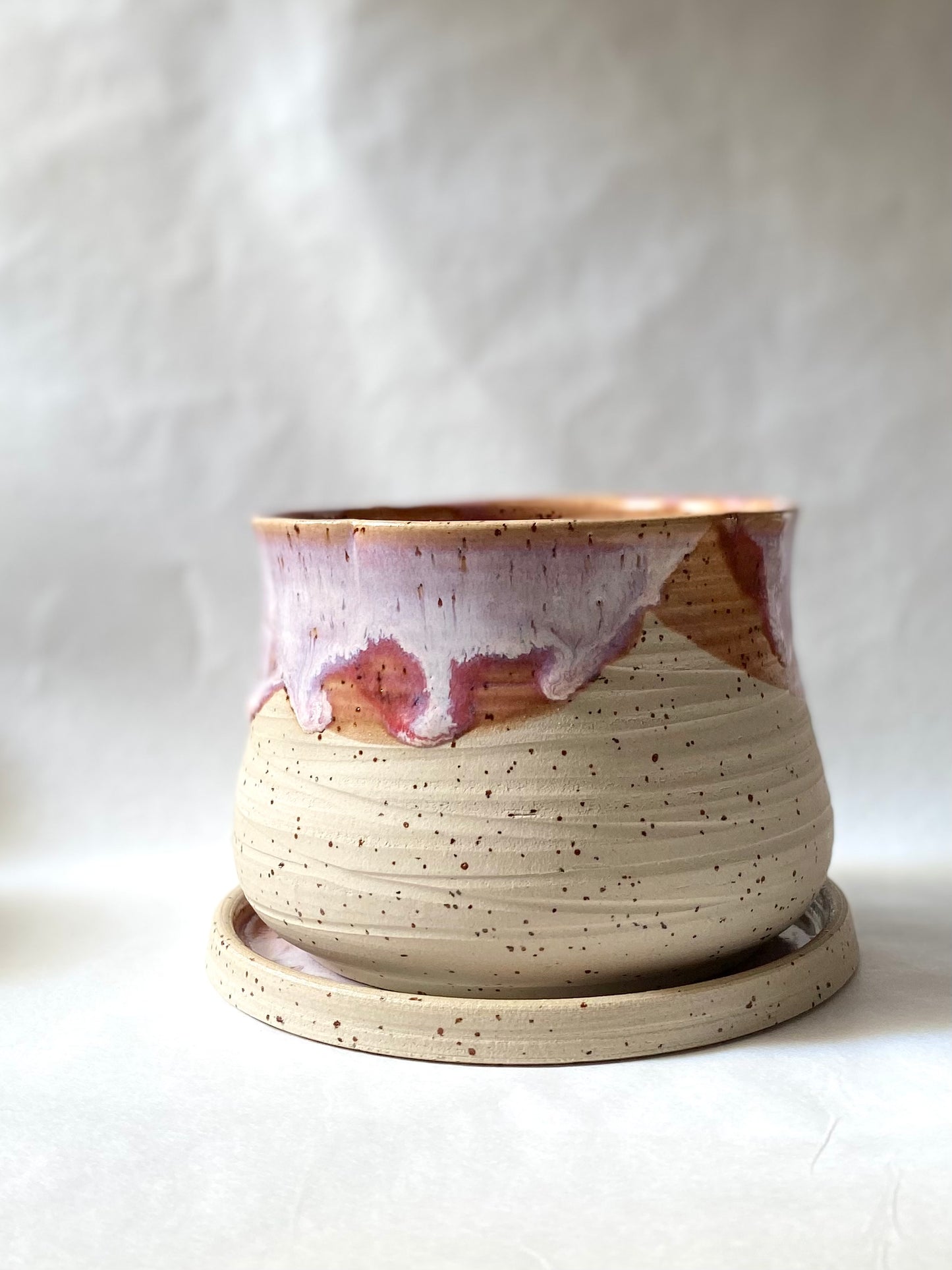 Orange Sorbet Planter