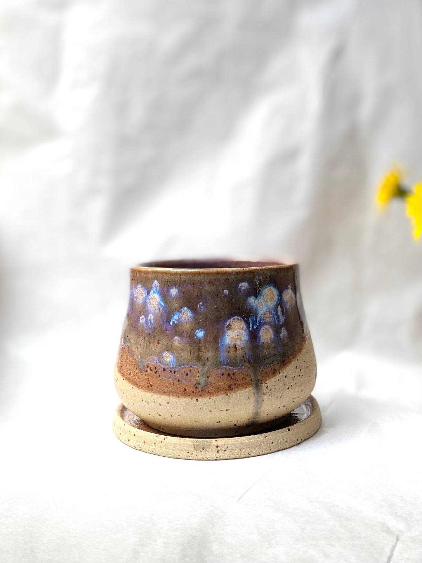 Starry Nights Planter