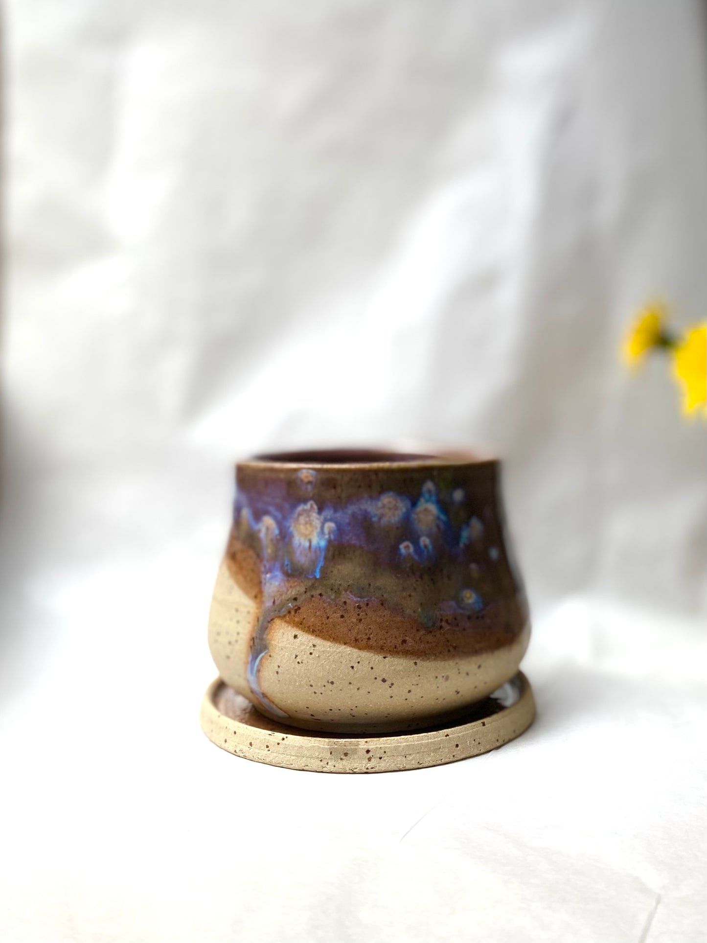 Starry Nights Planter