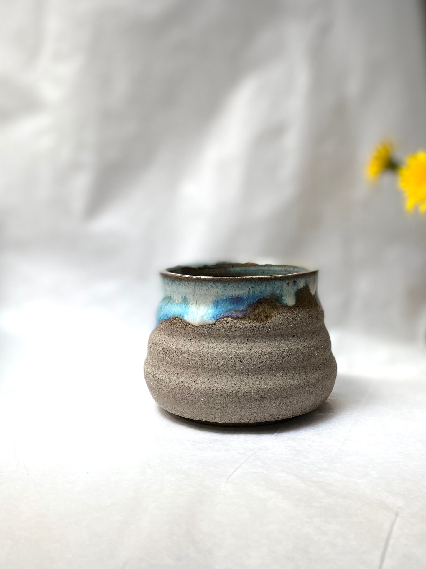 Blueberry drips Mug - 250ml