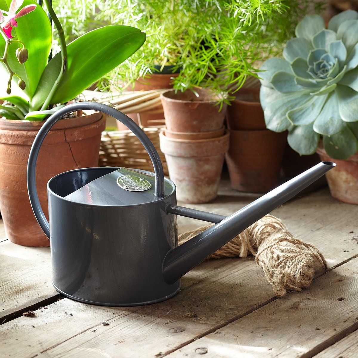 Sophie Conran Indoor Watering Can