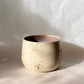 Lady Lumps cup - 250ml PRE-ORDER