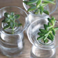 Small Aqua culture vase