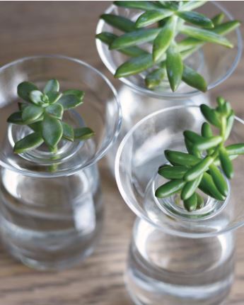 Small Aqua culture vase