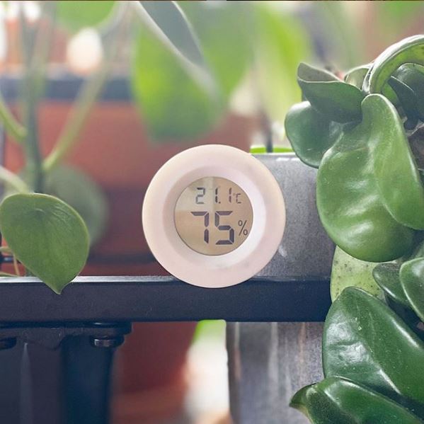 Small Hygrometer