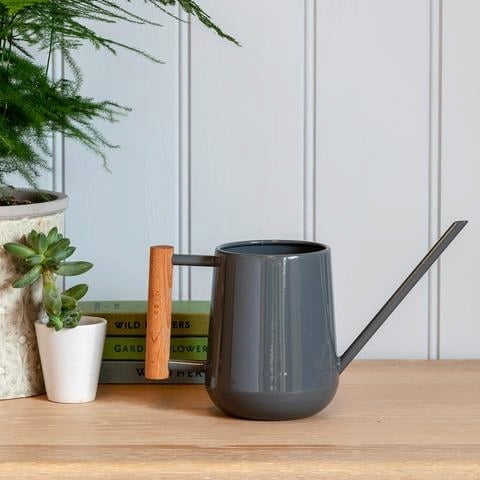 Indoor Watering Can