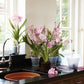 Elho Green basics Orchid Pot