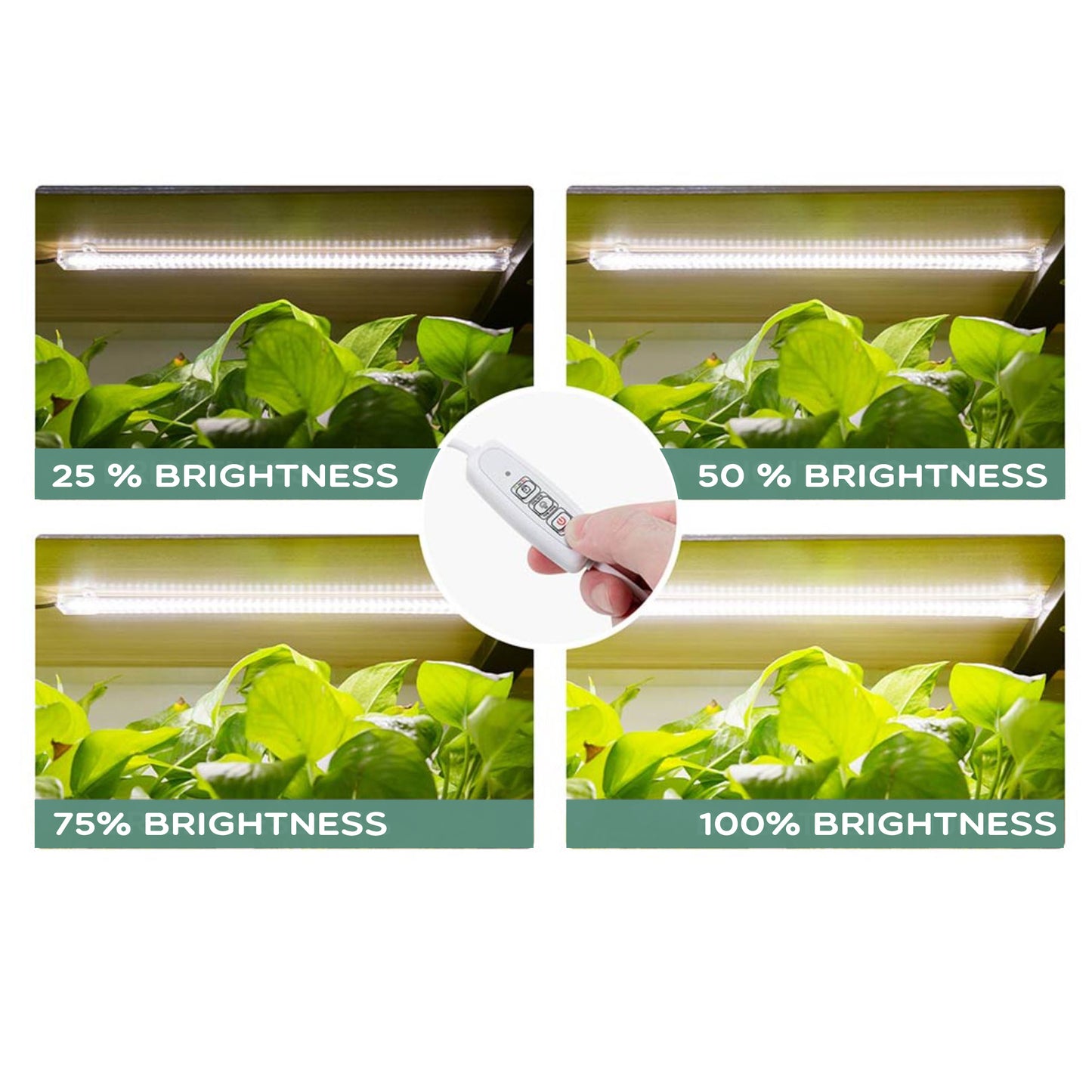 Full spectrum LED Growlight (Restocked!)