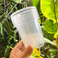 7cm Translucent nursery pots (In stock now!)